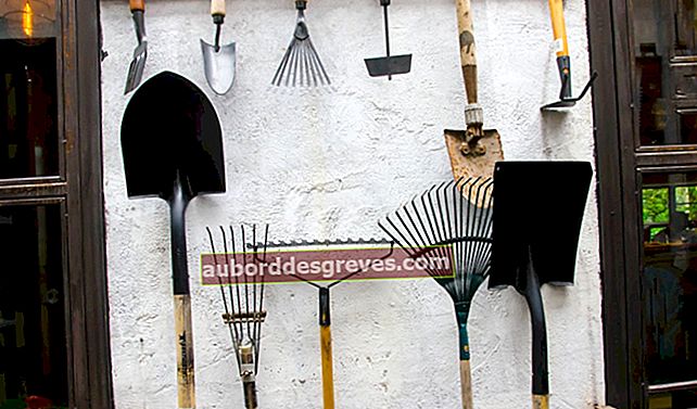 4 consigli per la pulizia e la manutenzione degli attrezzi da giardino