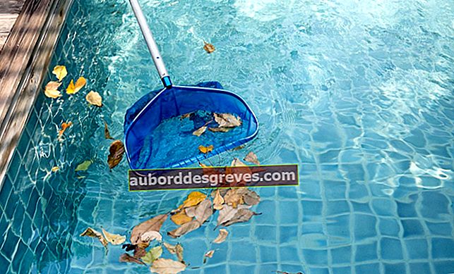 3 consigli economici per la manutenzione della tua piscina