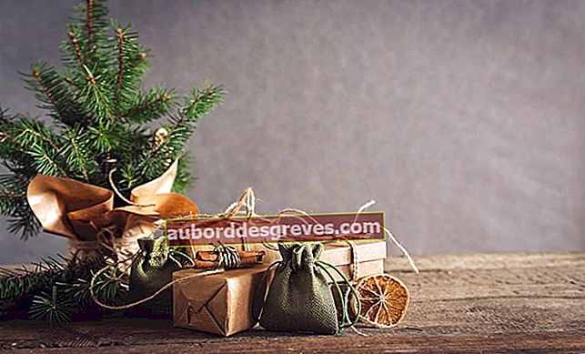 Selezione di regali di Natale da offrire a una persona ecologica