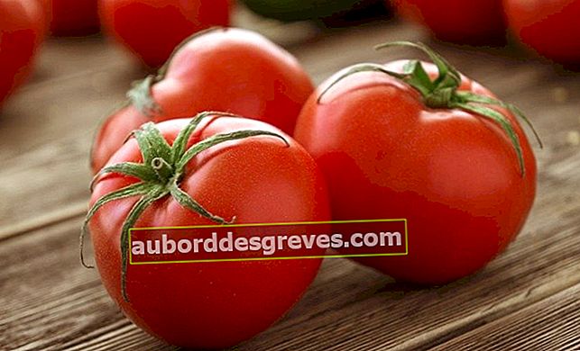 Lagern Sie Ihre Tomaten gut