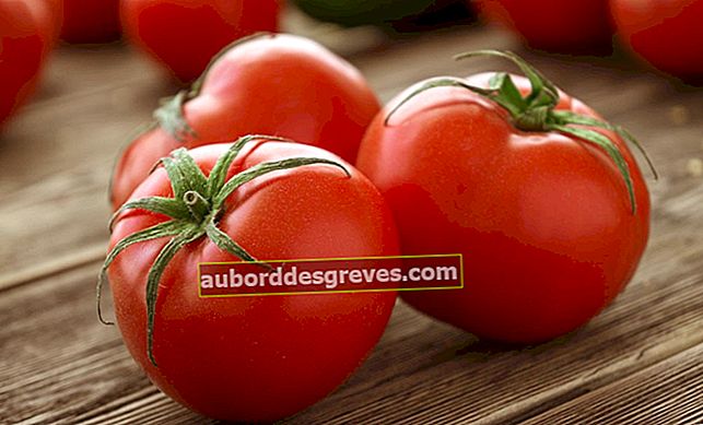 7 Tipps für die Lagerung von Tomaten den ganzen Winter über
