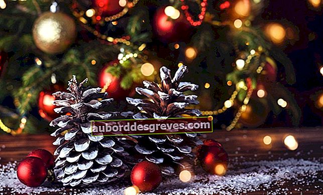 DIY besondere Weihnachten: Verwenden Sie Tannenzapfen für die Dekoration