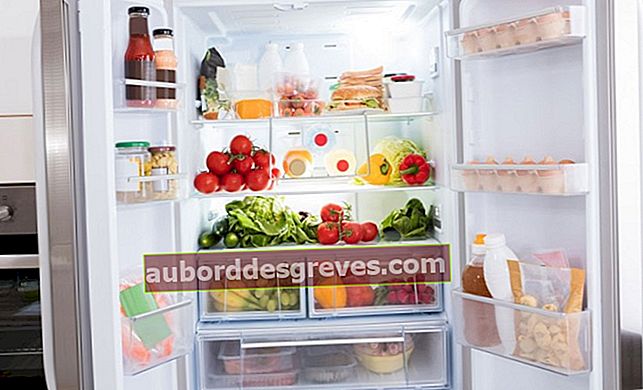 Bewahren Sie Ihren Kühlschrank auf