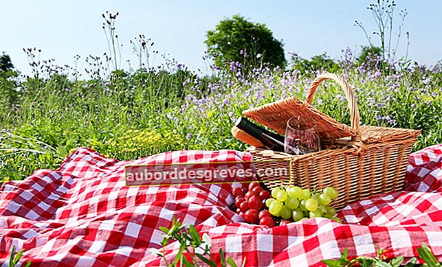 3 consigli per un picnic a rifiuti zero