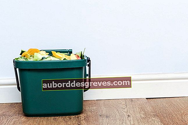 Pflegen Sie Ihren Kompostbehälter