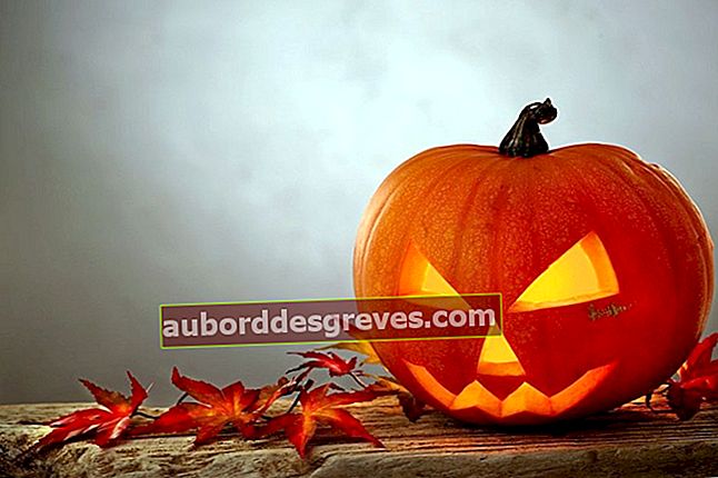 7 idee di decorazione per Halloween
