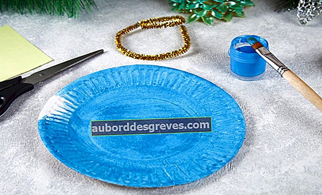 Fai da te: i nostri consigli per una decorazione natalizia con piatti di plastica