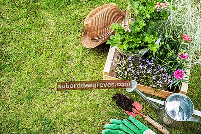 8 consigli per prenderti cura del tuo giardino con prodotti naturali