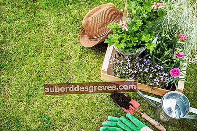 Jaga kebun anda dengan produk semula jadi