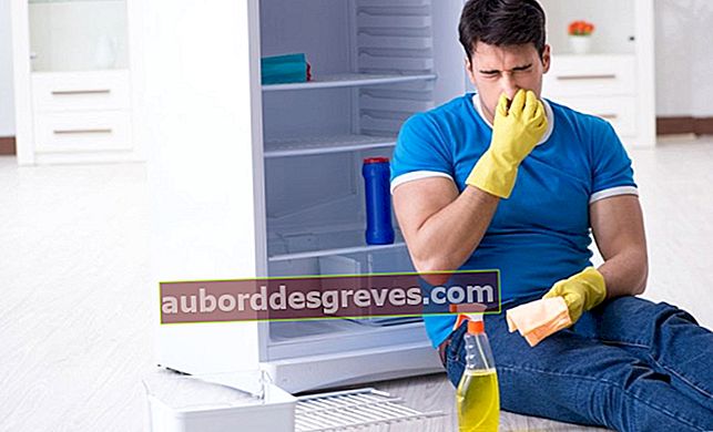 Elimina i cattivi odori in casa