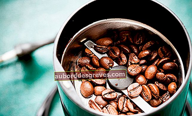 3 tips untuk memelihara penggiling kopi