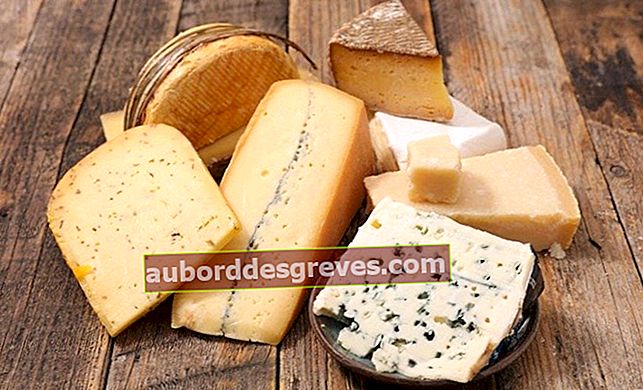 Alles, was Sie über das Einfrieren von Käse wissen müssen