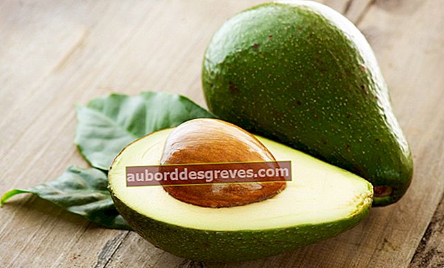 3 consigli per conservare più a lungo i tuoi avocado