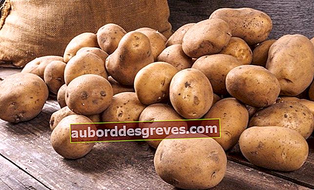 Conserva le patate più a lungo
