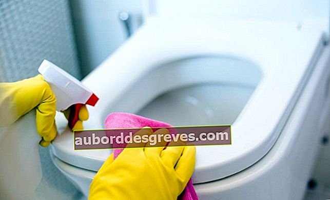 Toiletten mit Bleichmittel reinigen
