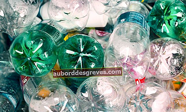 10 cose da fare con le bottiglie di plastica