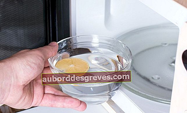 Produk apa yang digunakan untuk menghilangkan bau microwave Anda?