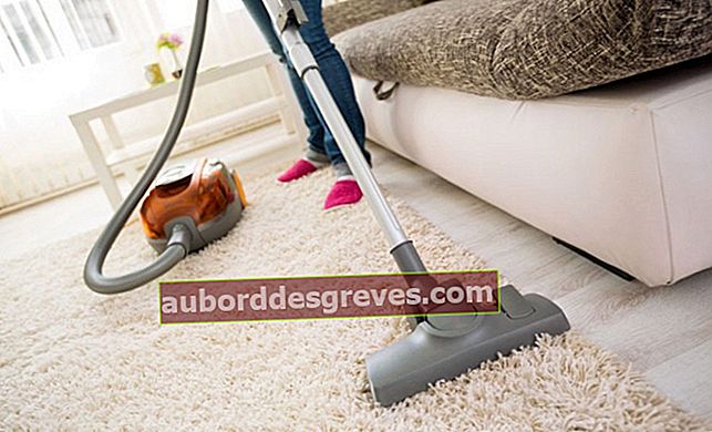 Bersihkan dan hilangkan bau karpet
