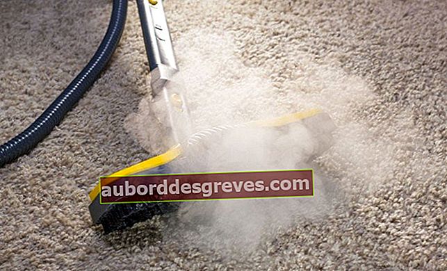 Bersihkan rumah dengan pembersih uap