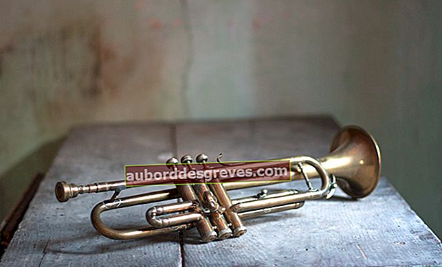 5 consigli per pulire i tuoi strumenti musicali in ottone