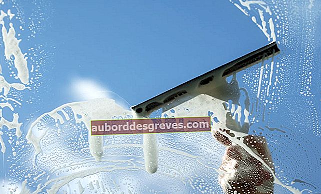 9 Tipps zum spurlosen Reinigen Ihrer Fenster