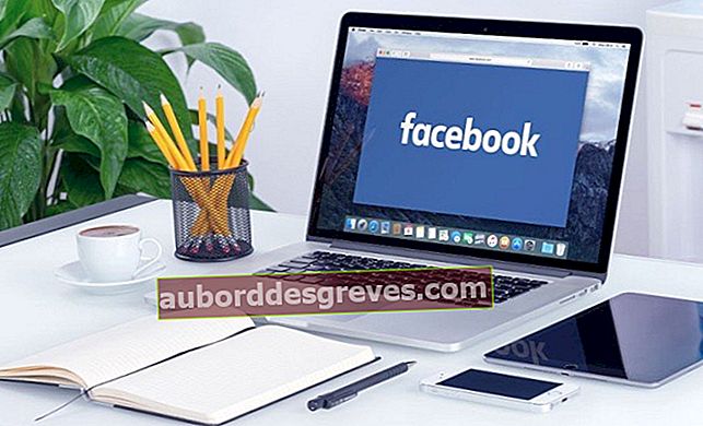 Löschen Sie Ihr Facebook-Konto dauerhaft
