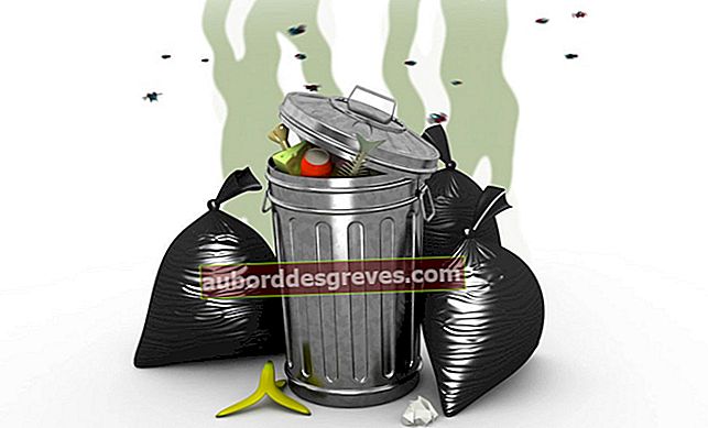 7 Tipps, um zu verhindern, dass Gerüche einen Mülleimer verunreinigen