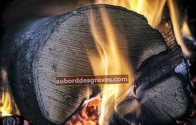 8 teknik yang berkesan untuk mengetahui sama ada kayu api kering