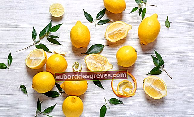 7 usi per la scorza di limone in casa e in giardino