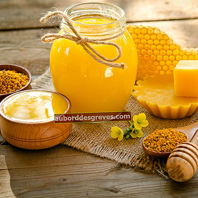 Crema idratante a base di cera d'api Credito: Soyka - Shutterstock