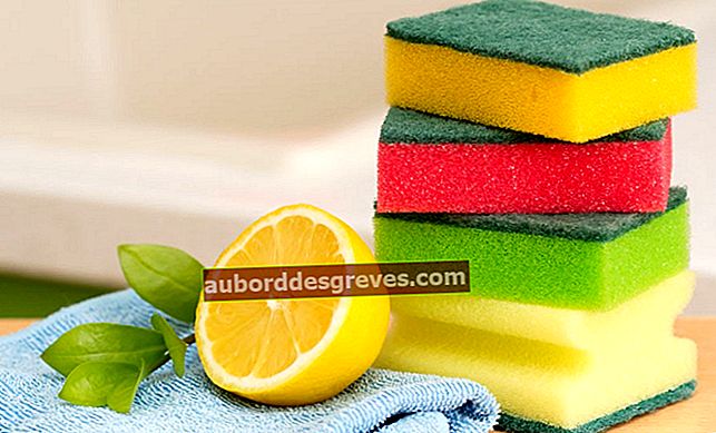 11 Omas Tipps für die Reinigung ihrer Küche mit Zitrone