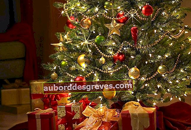 Fai da te: crea ghirlande per decorare l'albero di Natale