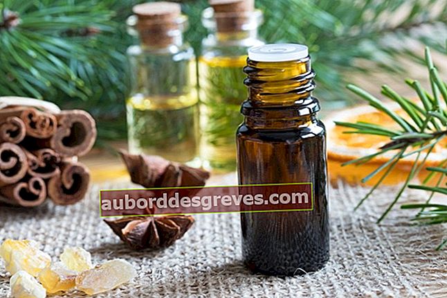 Ciptakan suasana Natal dengan minyak esensial