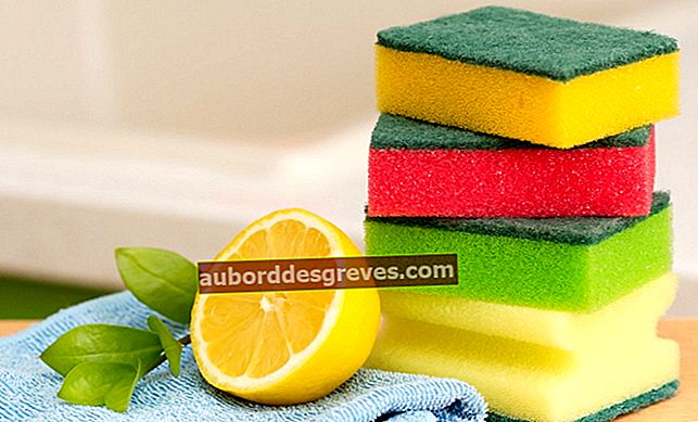 Limone: 12 consigli per pulire tutta la casa