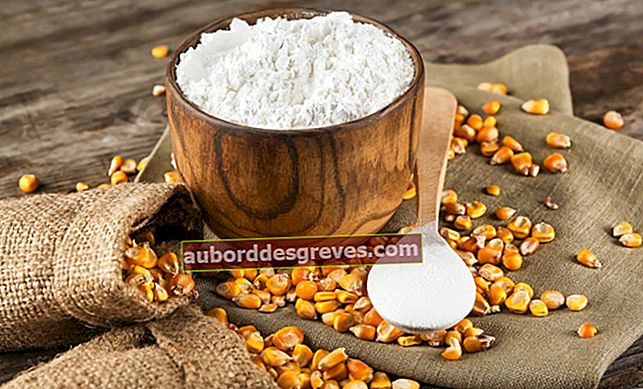 12 cara menggunakan tepung jagung untuk pembersihan di rumah