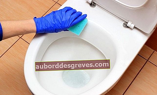 Bersihkan toilet Anda secara efektif dari kapur dan kotoran