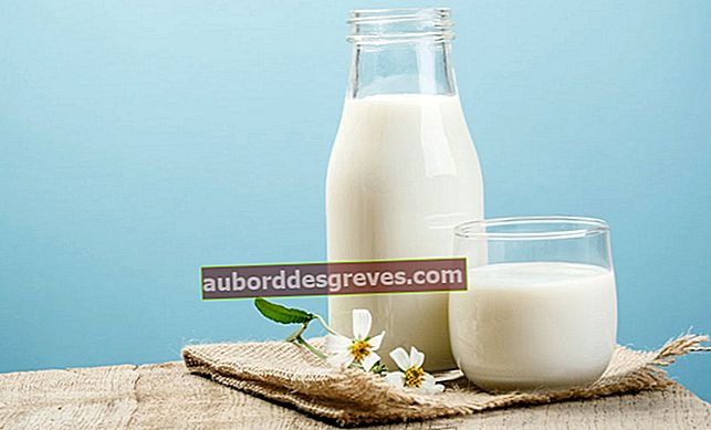 9 hal praktis yang harus dilakukan dengan susu asam