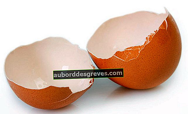6 hal yang harus dilakukan dengan kulit telur untuk menghindari membuangnya