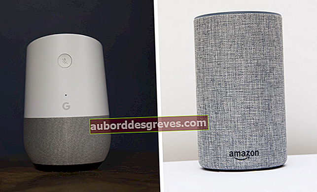 Google Home หรือ Amazon Echo: การเลือกผู้ช่วยเสียงที่เหมาะสม