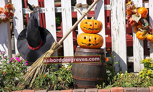 Dekorieren Sie Ihren Garten oder Ihre Terrasse mit einem Halloween-Thema